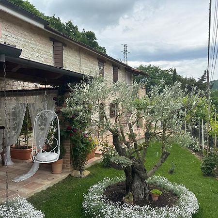 B&B Il Poggetto Serra SantʼAbbondio Zewnętrze zdjęcie