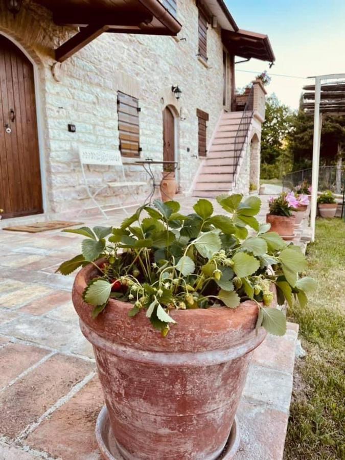 B&B Il Poggetto Serra SantʼAbbondio Zewnętrze zdjęcie