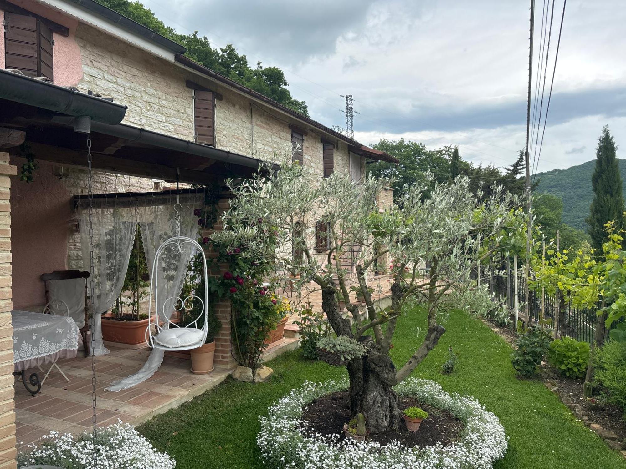 B&B Il Poggetto Serra SantʼAbbondio Zewnętrze zdjęcie